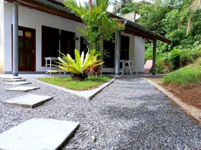 The Moon House